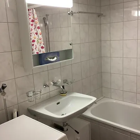 Mannried 2 1 2 Zimmerwohnung Rustikal Zweisimmen
